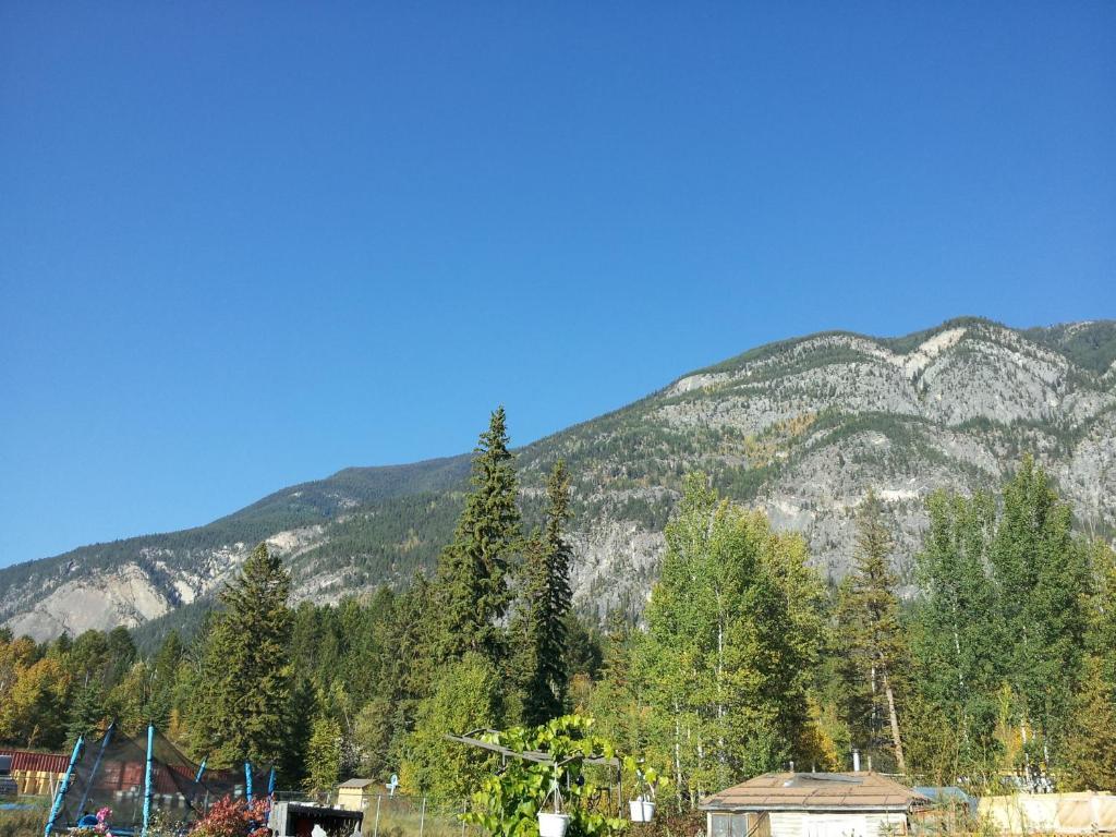 Hotel Steamboat Mountain Chalets Spillimacheen Exterior foto